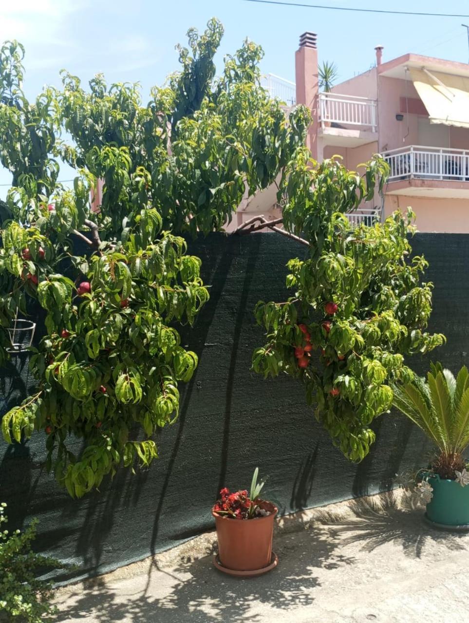 נאה קרוואלי Sia Beach House מראה חיצוני תמונה